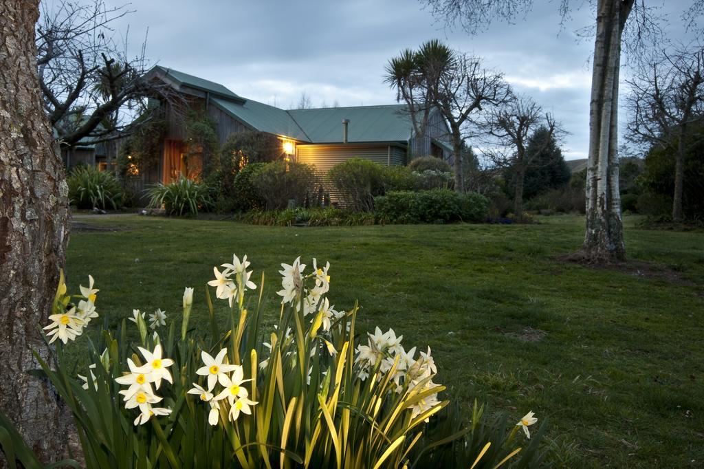 Whakaipo Lodge Τούπο Εξωτερικό φωτογραφία
